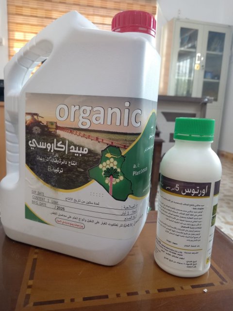 صورة مرفقة