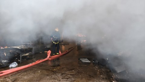 صورة مرفقة