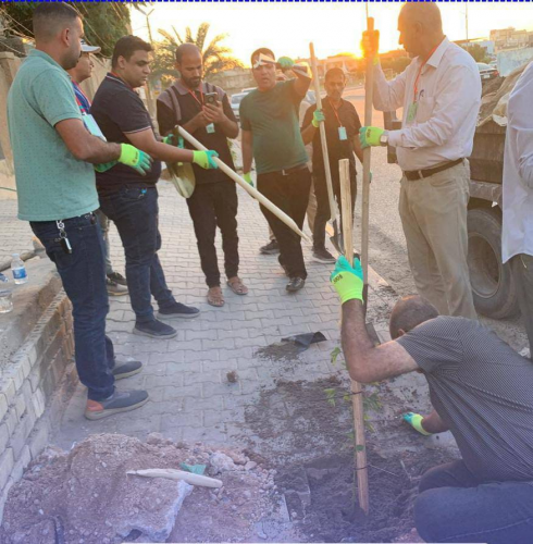 جمعية المهندسين في النجف  تطلق حملة تطوعية للتشجير