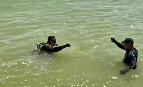 صورة مرفقة