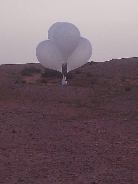 صورة مرفقة