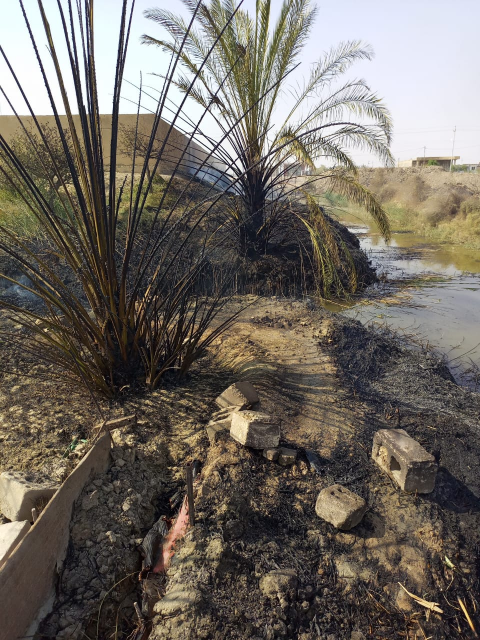 اخماد حريق في بستان بقضاء المدينة شمالي البصرة