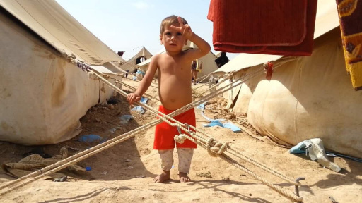 المخرج البصري أمجاد الهجول : يحصد جائزتي الجمهور 