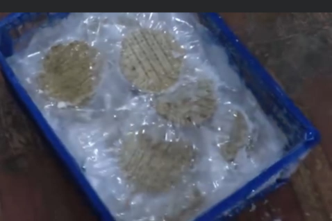 صحة البصرة اغلاق وتغريم وتتلف مواد واطعمة تابعة لم