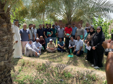 اختتام ورشة عمل عن تحسين إنتاجية النخيل في البصرة 