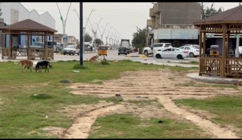 أمام  انظار  محافظ البصرة