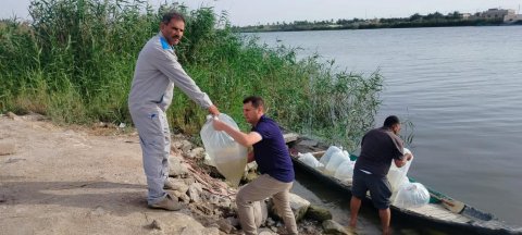 لتعزيز المخزون السمكي.. إطلاق أكثر من 4 ملايين سابحة سمكية في مسطحات وأهوار قضاء المدينة شمالي البصرة