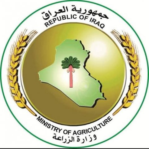 الزراعة توقف (ترانزيت) مؤقتا دخول الحيوانات الحية من سوريا باتجاه العراق ودول الخليج لهذا السبب