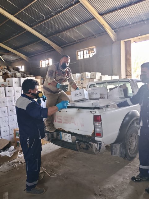 انطلاق حملة مكافحة حشرة الحميرة على النخيل في البصرة