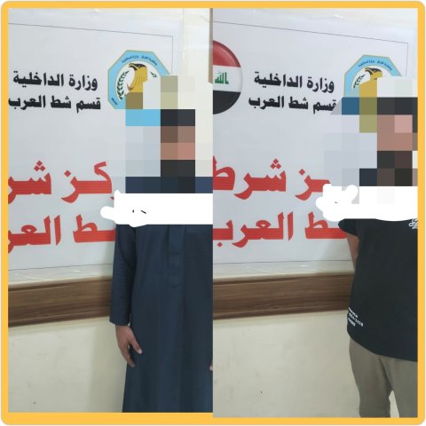 القبض على متهمين بسرقة مواشي في قضاء شط العرب 