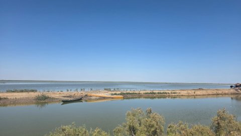 الموارد المائية :انتعاش هور الحويزة بعد موجة الأمطار الأخيرة