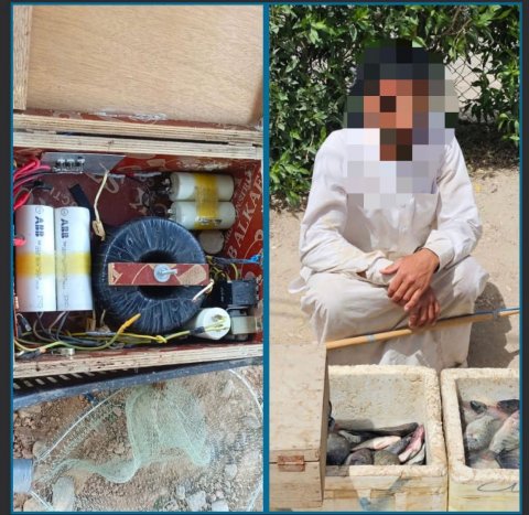 القبض على شخص لارتكابه مخالفة الصيد الجائر في ذي قار