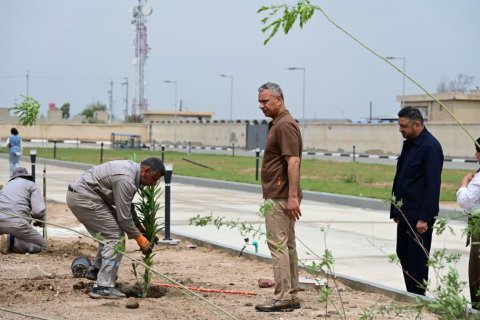 الجامعةِ التقنية الجنوبية  تباشر بحملة كبرى لتشجيرِ الشوارعِ والساحاتِ داخل الحرم  الجامعي