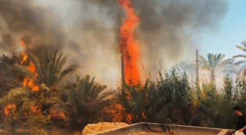 السيطرة على حريق اندلع في أحد البساتين شمالي البصرة